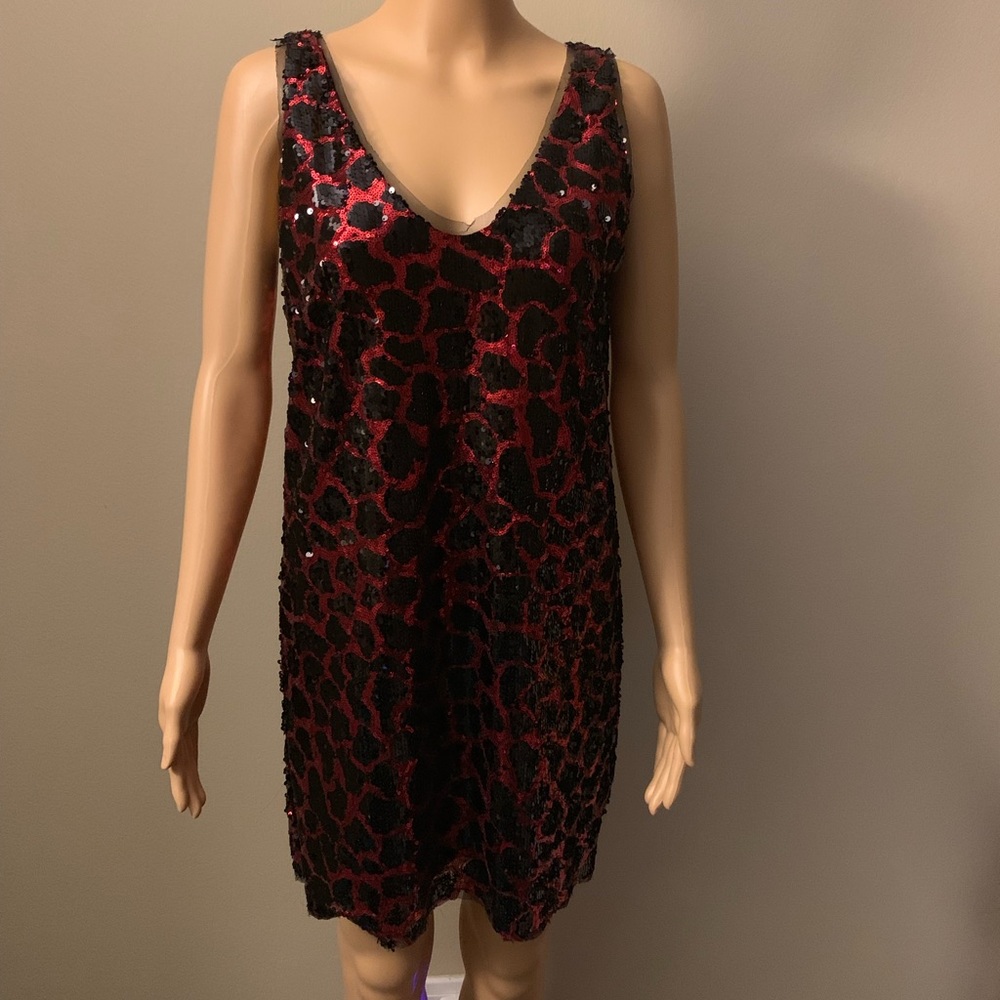 New Fashion Zara Shiny Dress
